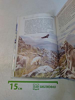 Собаки. Школьный путеводитель