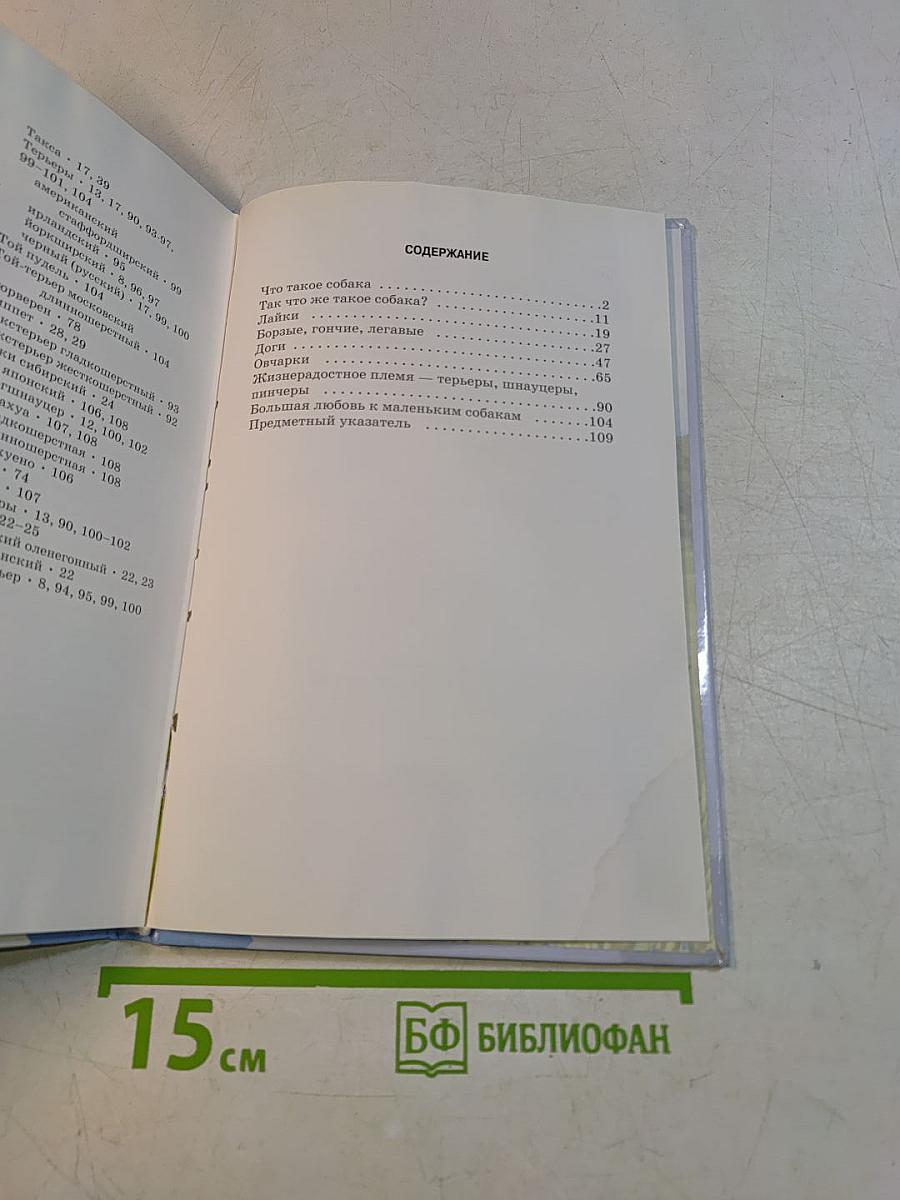 Собаки. Школьный путеводитель