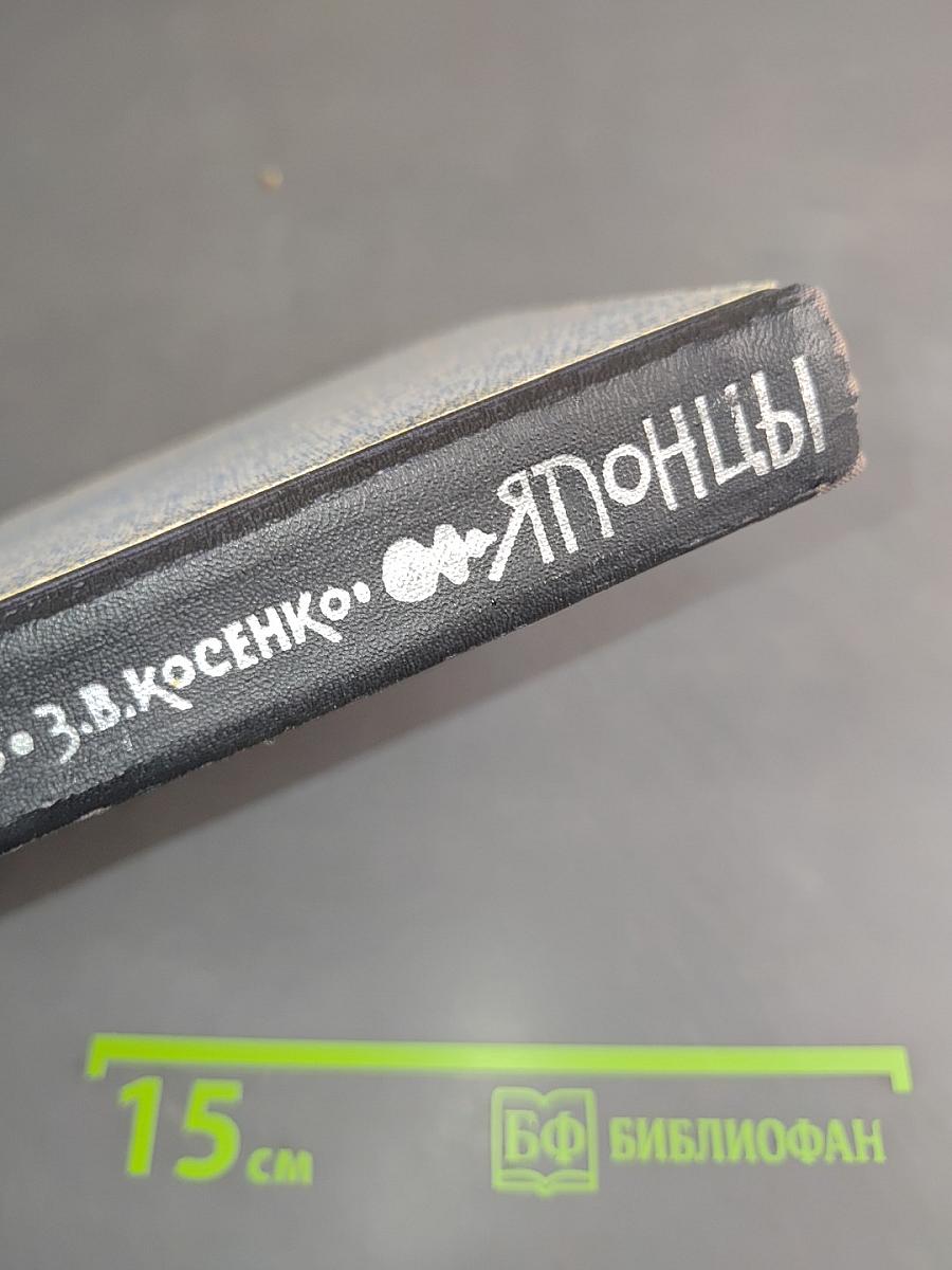Японцы. Путевая повесть