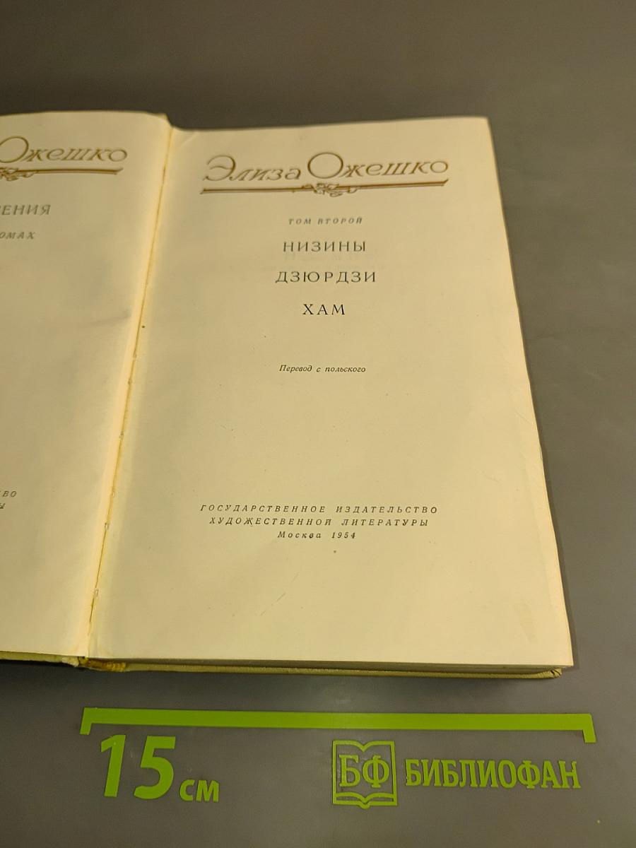 Низины. Дзюрдизи. Хам