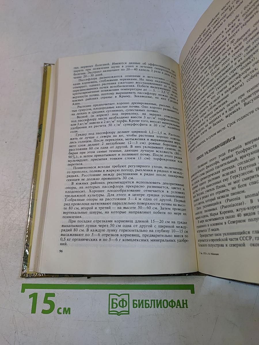 Лекарственные растения на приусадебном участке