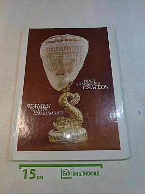Камни Петра Зальцмана