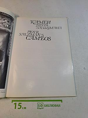 Камни Петра Зальцмана