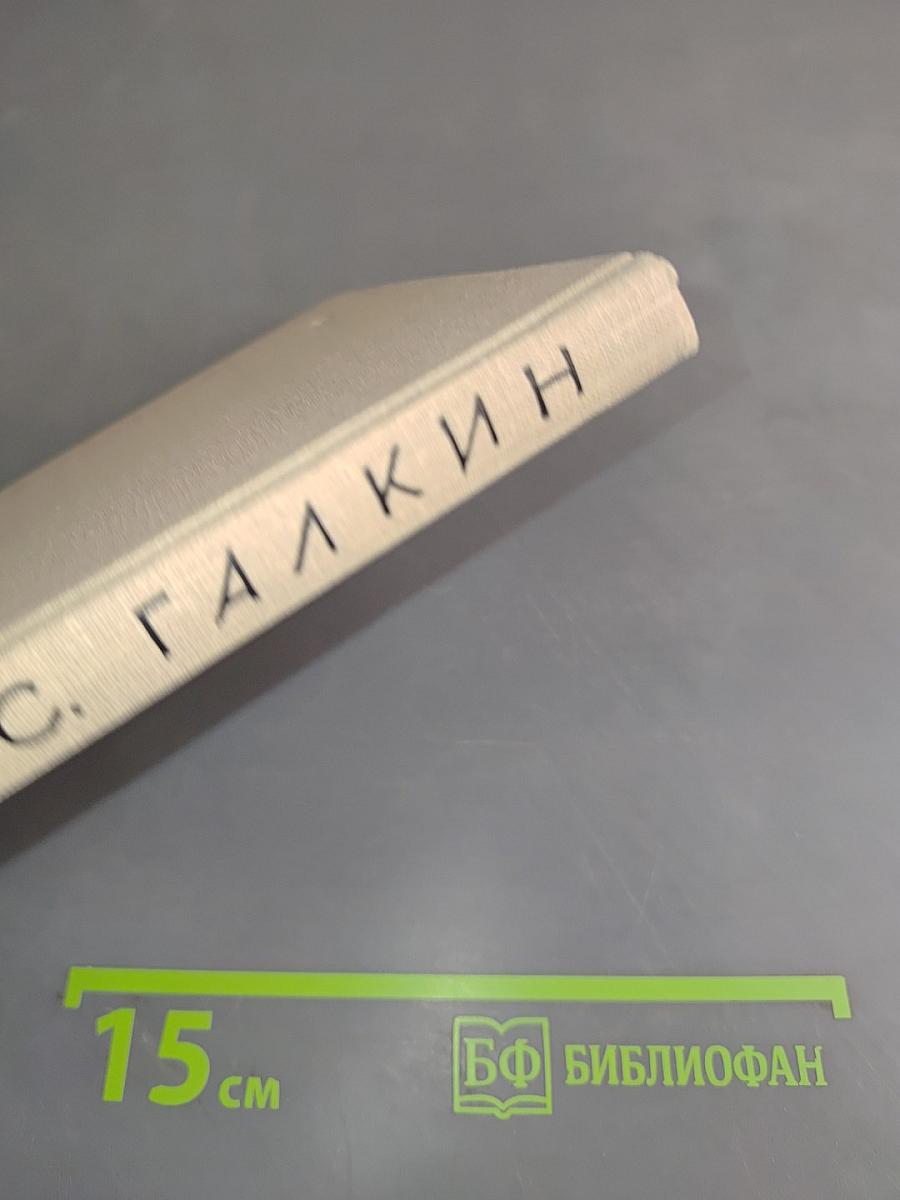 Стихи последних лет