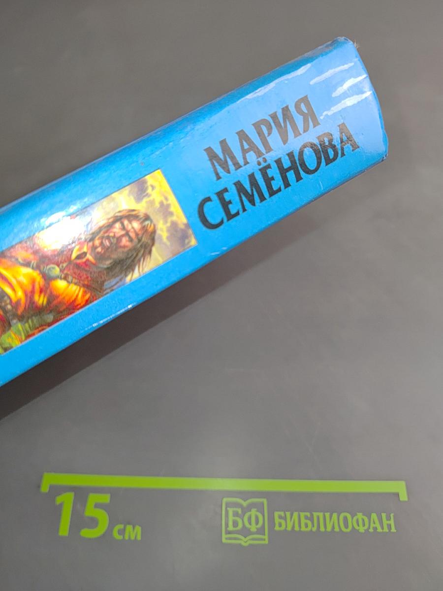 Волкодав. Право на поединок