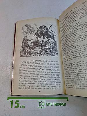 Борьба за огонь. Пещерный лев. Вамирэх