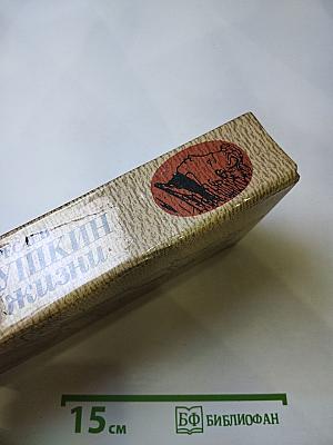 Пушкин в жизни
