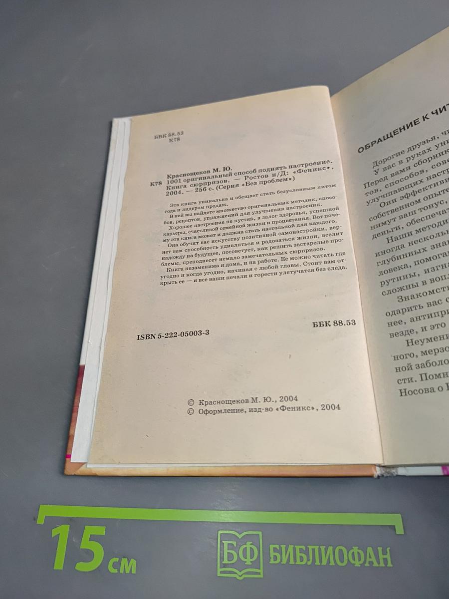 1001 оригинальный способ поднять настроение. Книга сюрпризов