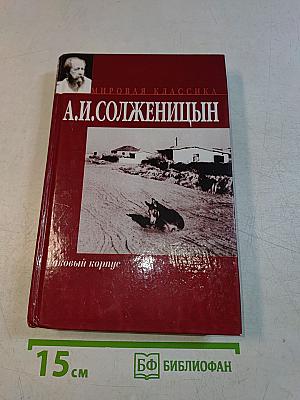 Раковый корпус