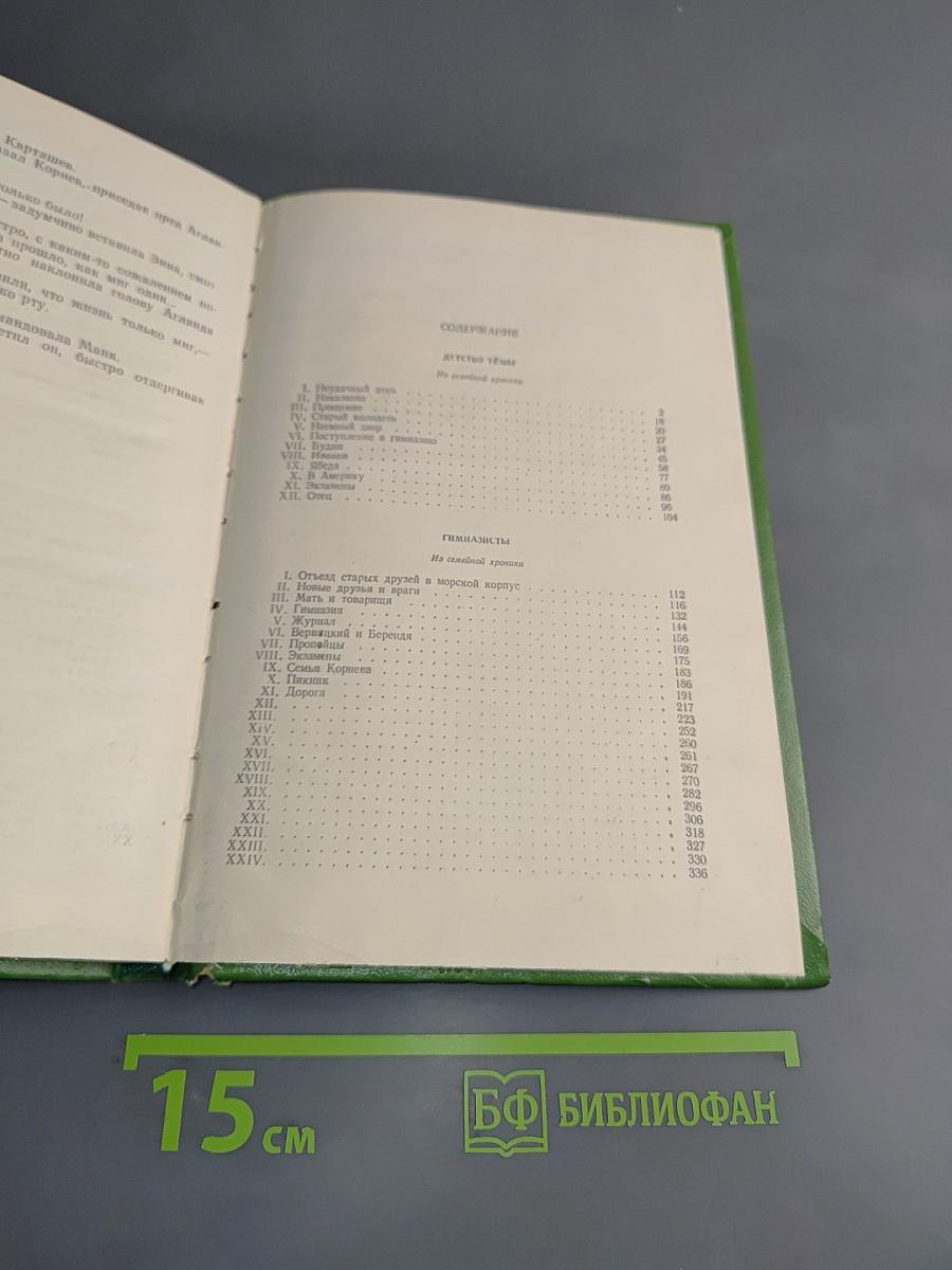 Детство. Гимназисты