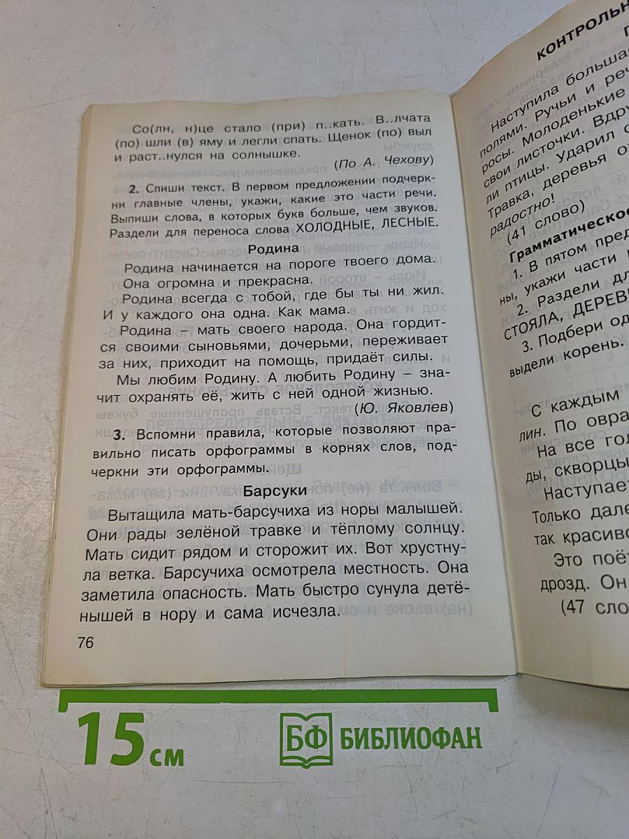 Русский язык. Контрольно-измерительные материалы. 2 класс