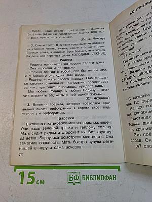 Русский язык. Контрольно-измерительные материалы. 2 класс