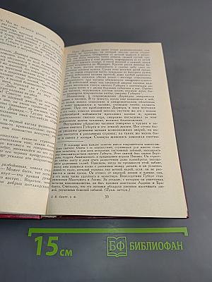 Квентин Дорвард. Том 8