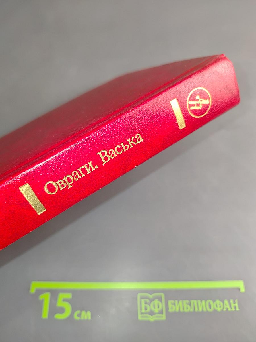 Овраги Васька