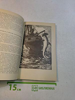 Опасные обитатели моря