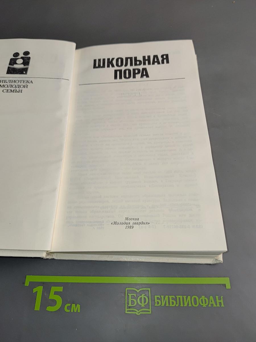 Школьная пора