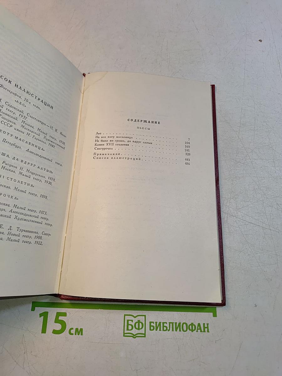 Собрание сочинений. Том шестой. Пьесы 1871-1873
