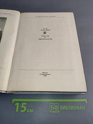 Мысли о литературе