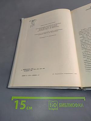 Мысли о литературе