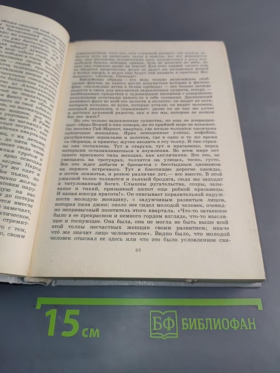 Мысли о литературе
