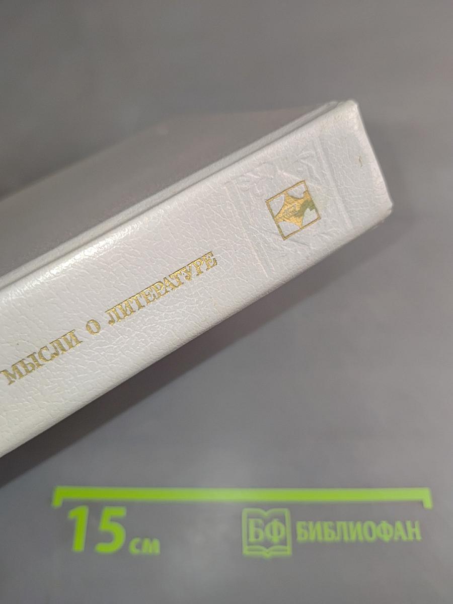 Мысли о литературе