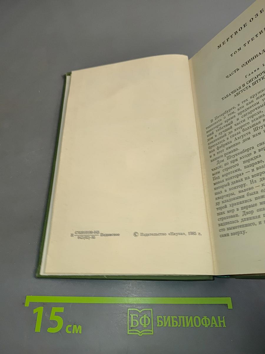 Полное собрание сочинений и писем. Том десятый. Книга вторая. Мертвое озеро
