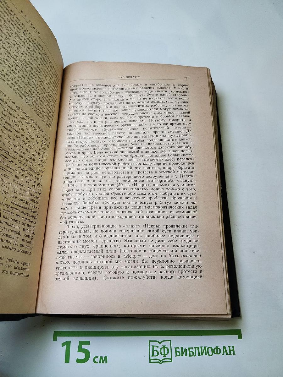 Ленин О партийном строительстве