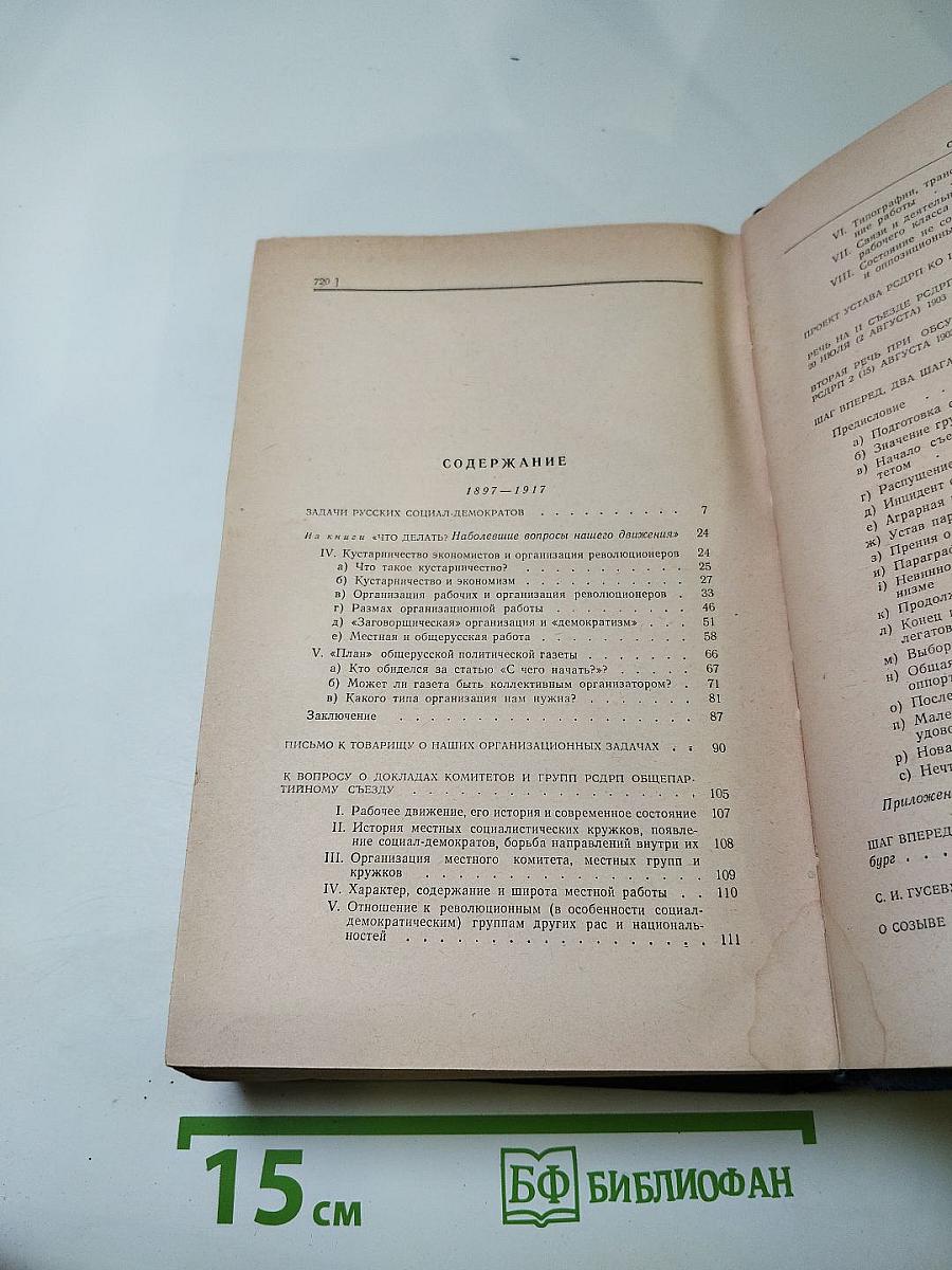 Ленин О партийном строительстве