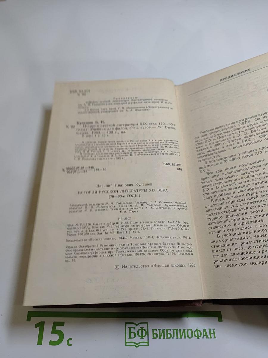 История русской литературы XIX века. 70-90-е годы