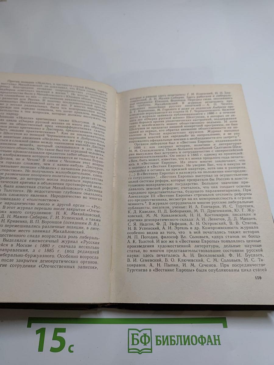 История русской литературы XIX века. 70-90-е годы