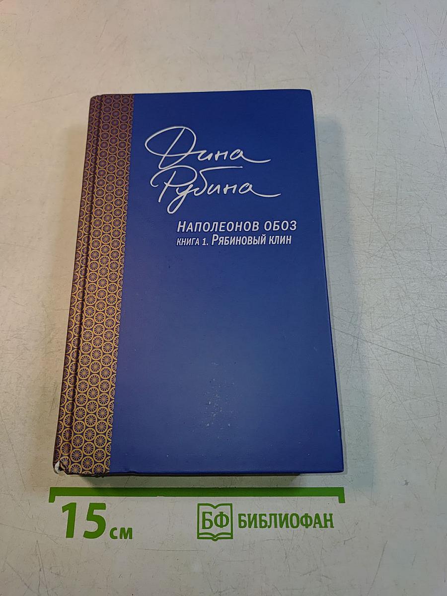 Наполеонов обоз. Книга 1. Рябиновый клин