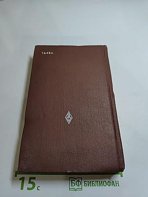 История русской литературы XIX века. 70-90-е годы