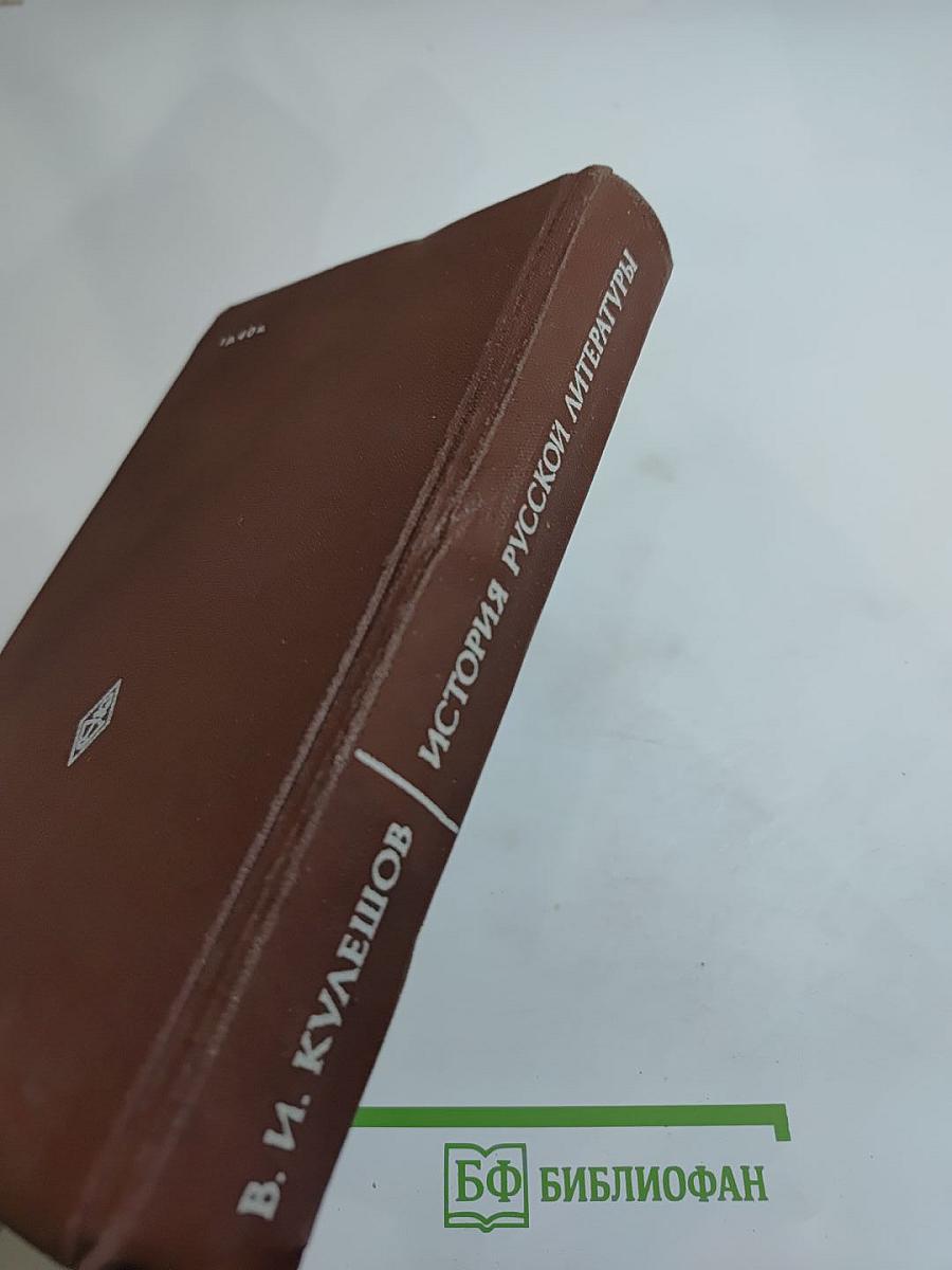 История русской литературы XIX века. 70-90-е годы