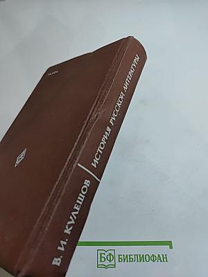 История русской литературы XIX века. 70-90-е годы
