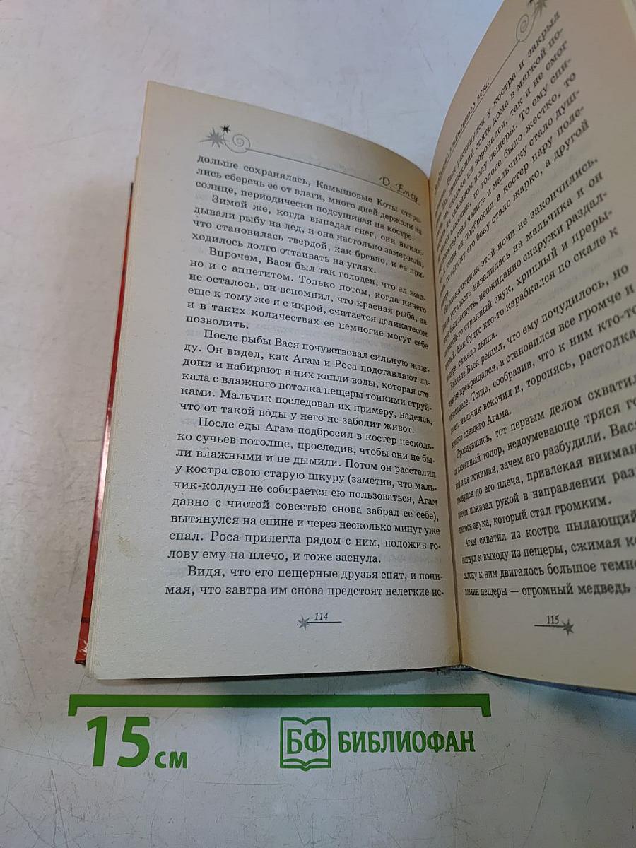 Звездолет из каменного века