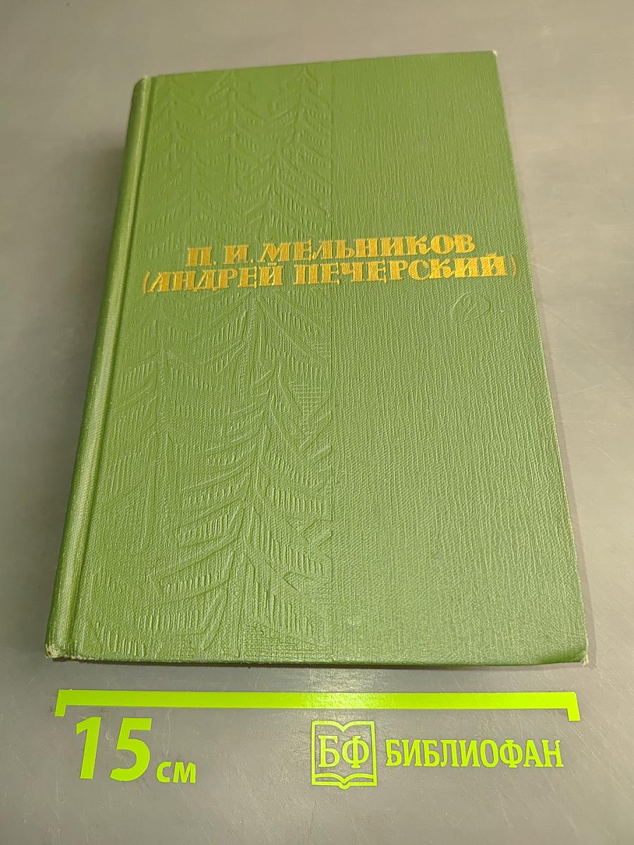 В лесах. Книга первая