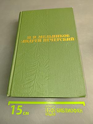 В лесах. Книга первая
