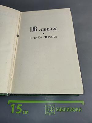 В лесах. Книга первая