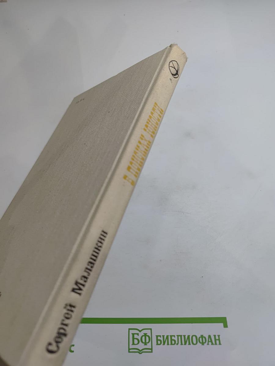 В поисках юности (Москва. 1905-1906 гг.) Записки очевидца
