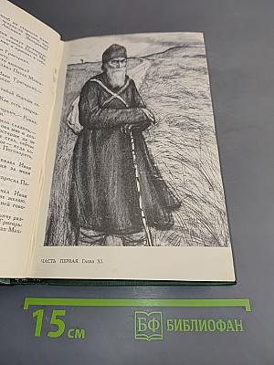 В лесах. Книга первая