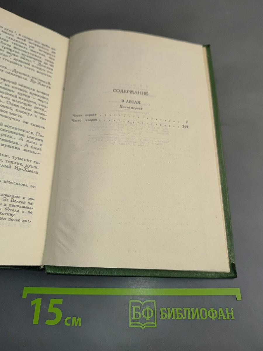 В лесах. Книга первая