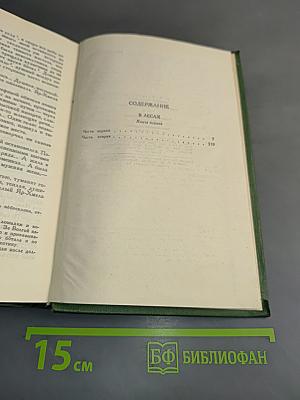 В лесах. Книга первая