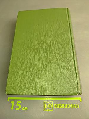В лесах. Книга первая