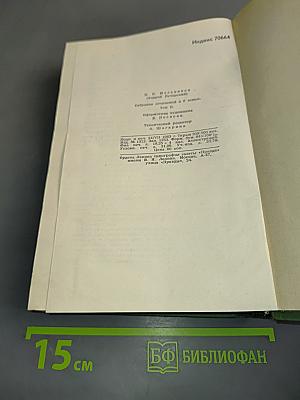 В лесах. Книга первая