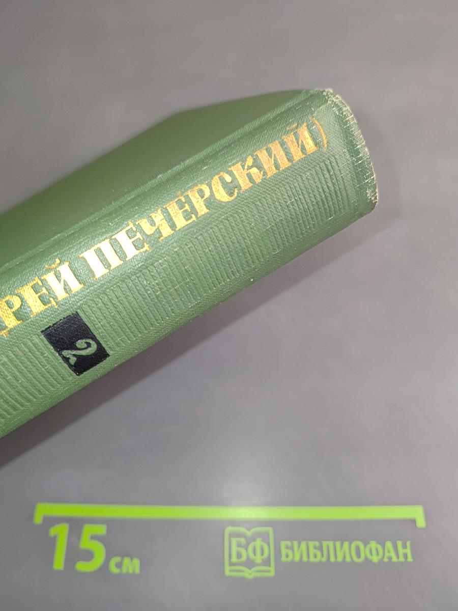В лесах. Книга первая