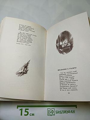 А.С. Пушкин "Полнощных стран краса и диво..."