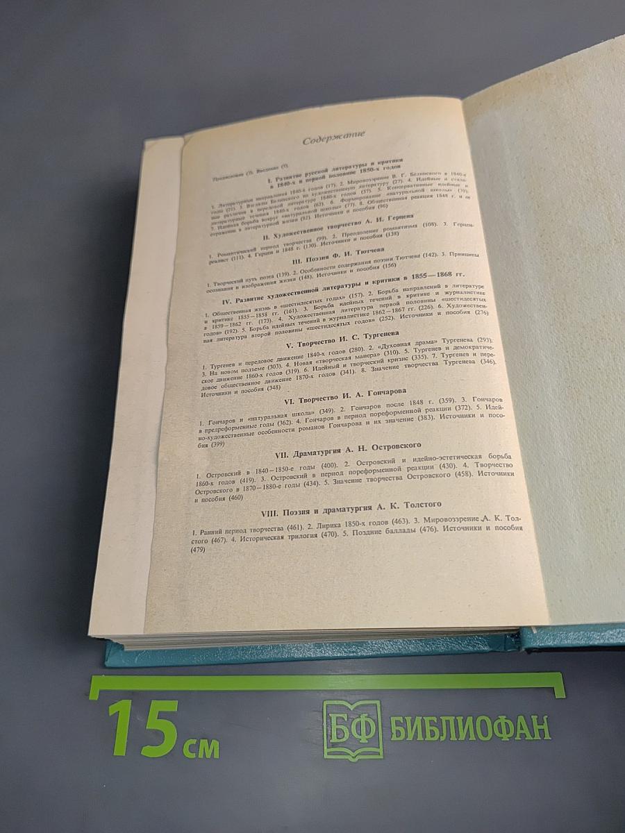История русской литературы XIX века (1840-1860-е годы)