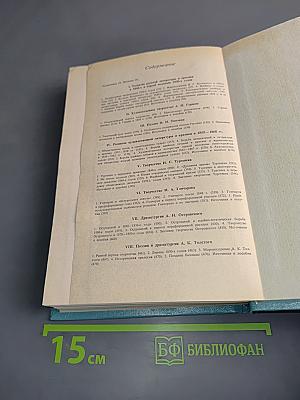 История русской литературы XIX века (1840-1860-е годы)