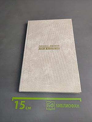 Взятие Великомушска