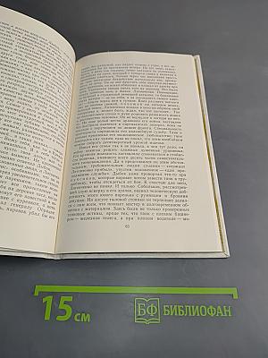 Взятие Великомушска